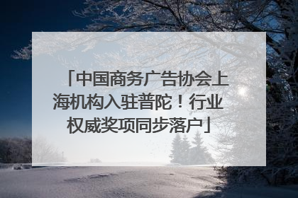 中国商务广告协会上海机构入驻普陀！行业权威奖项同步落户