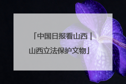 中国日报看山西｜山西立法保护文物