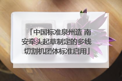 中国标准泉州造 南安牵头起草制定的多线切割机团体标准启用
