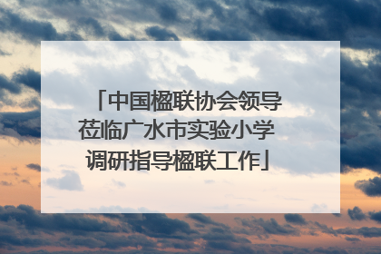 中国楹联协会领导莅临广水市实验小学调研指导楹联工作