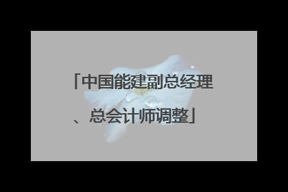 中国能建副总经理、总会计师调整