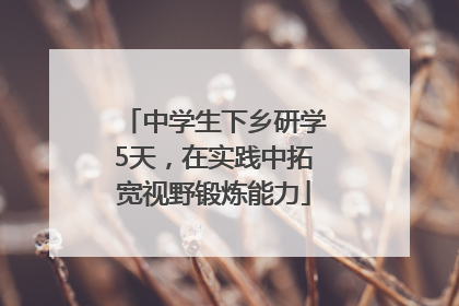 中学生下乡研学5天，在实践中拓宽视野锻炼能力