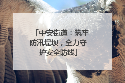 中安街道：筑牢防汛堤坝，全力守护安全防线