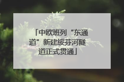中欧班列“东通道”新建绥芬河隧道正式贯通
