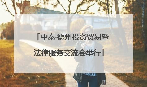 中泰·德州投资贸易暨法律服务交流会举行