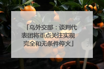乌外交部：谈判代表团将重点关注实现完全和无条件停火