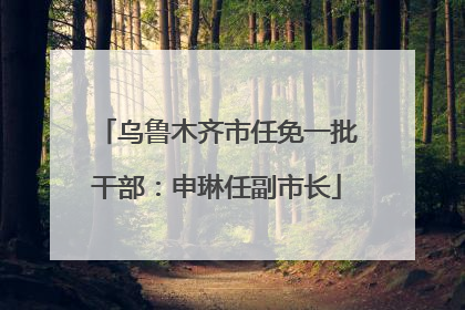 乌鲁木齐市任免一批干部：申琳任副市长
