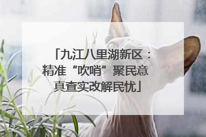 九江八里湖新区：精准“吹哨”聚民意 真查实改解民忧