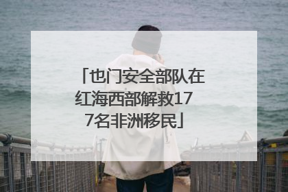 也门安全部队在红海西部解救177名非洲移民