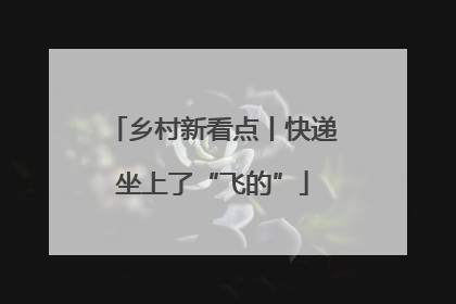 乡村新看点丨快递坐上了“飞的”