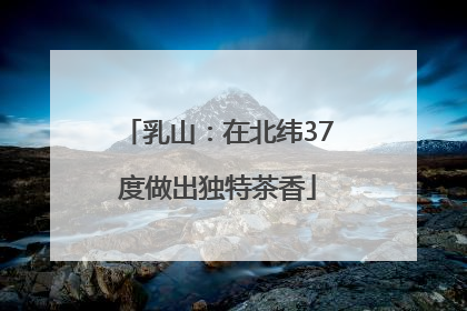 乳山：在北纬37度做出独特茶香