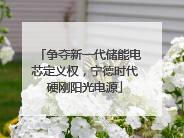 争夺新一代储能电芯定义权，宁德时代硬刚阳光电源