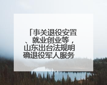 事关退役安置、就业创业等，山东出台法规明确退役军人服务保障工作