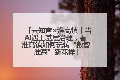 云知声×淮高镇丨当AI遇上基层治理，看淮高镇如何玩转“数智淮高”新花样