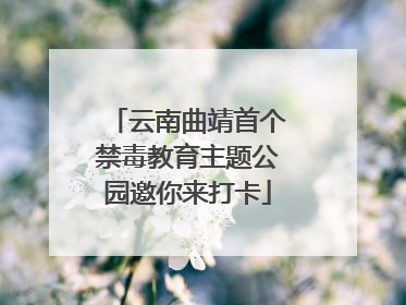 云南曲靖首个禁毒教育主题公园邀你来打卡