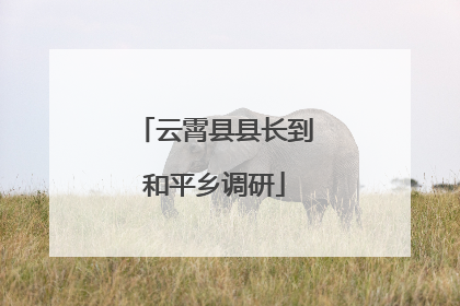 云霄县县长到和平乡调研