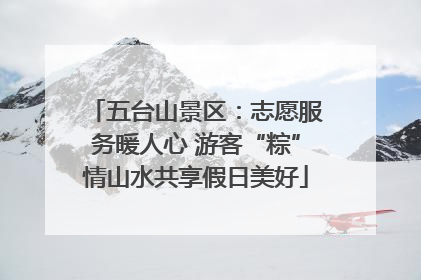五台山景区：志愿服务暖人心 游客“粽”情山水共享假日美好