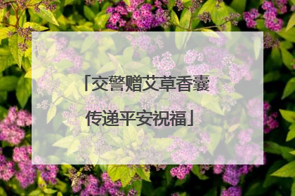 交警赠艾草香囊 传递平安祝福