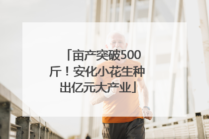 亩产突破500斤！安化小花生种出亿元大产业
