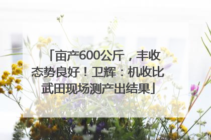 亩产600公斤，丰收态势良好！卫辉：机收比武田现场测产出结果