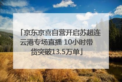 京东京喜自营开启苏超连云港专场直播 10小时带货突破13.5万单