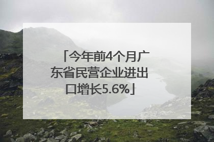 今年前4个月广东省民营企业进出口增长5.6%