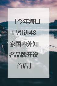 今年海口已引进48家国内外知名品牌开设首店