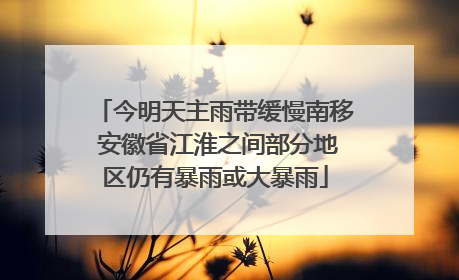 今明天主雨带缓慢南移 安徽省江淮之间部分地区仍有暴雨或大暴雨