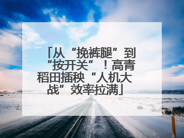 从“挽裤腿”到“按开关”！高青稻田插秧“人机大战”效率拉满