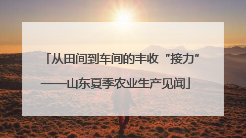 从田间到车间的丰收“接力”——山东夏季农业生产见闻