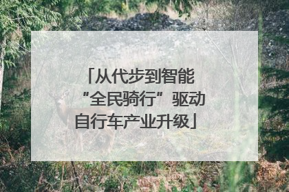 从代步到智能 “全民骑行”驱动自行车产业升级