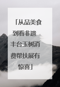 从品美食到看非遗 丰台玉树消费帮扶展有惊喜