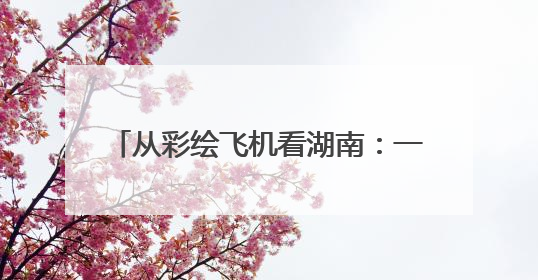 从彩绘飞机看湖南：一架飞机一个文化IP
