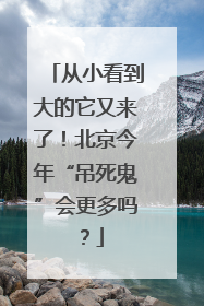 从小看到大的它又来了！北京今年“吊死鬼”会更多吗？