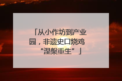 从小作坊到产业园，非遗史口烧鸡“涅槃重生”