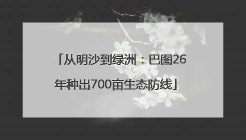 从明沙到绿洲：巴图26年种出700亩生态防线