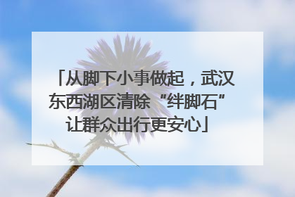 从脚下小事做起，武汉东西湖区清除“绊脚石”让群众出行更安心