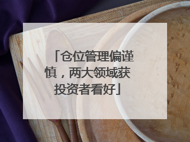 仓位管理偏谨慎，两大领域获投资者看好