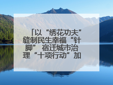 以“绣花功夫”缝制民生幸福“针脚” 宿迁城市治理“十项行动”加速落地