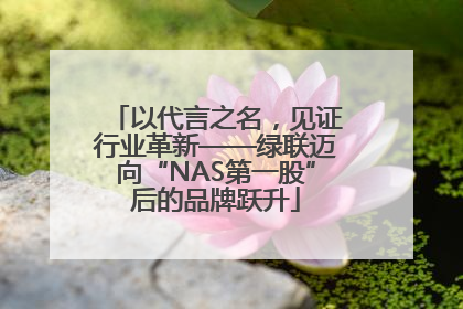 以代言之名，见证行业革新——绿联迈向“NAS第一股”后的品牌跃升