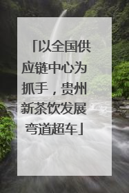 以全国供应链中心为抓手，贵州新茶饮发展弯道超车