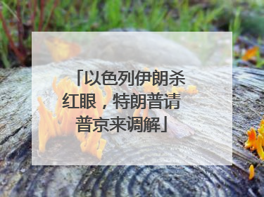 以色列伊朗杀红眼，特朗普请普京来调解