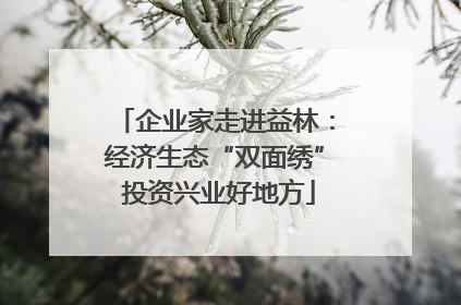 企业家走进益林：经济生态“双面绣” 投资兴业好地方