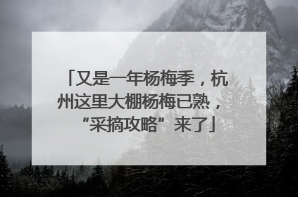 又是一年杨梅季，杭州这里大棚杨梅已熟，“采摘攻略”来了