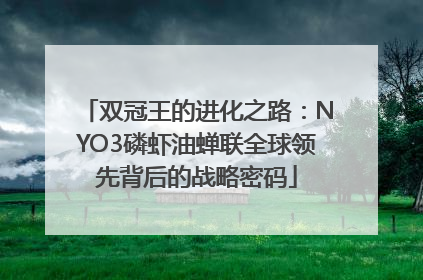 双冠王的进化之路：NYO3磷虾油蝉联全球领先背后的战略密码
