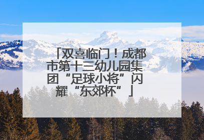 双喜临门！成都市第十三幼儿园集团“足球小将”闪耀“东郊杯”