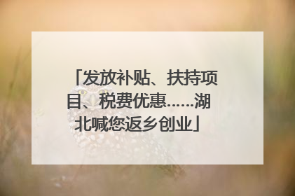 发放补贴、扶持项目、税费优惠……湖北喊您返乡创业