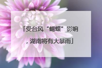 受台风“蝴蝶”影响，湖南将有大暴雨