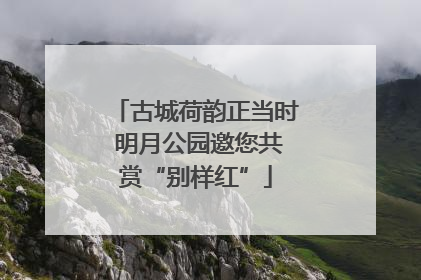 古城荷韵正当时 明月公园邀您共赏“别样红”