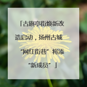 古旗亭街焕新改造启动，扬州古城“网红街巷”将添“新成员”